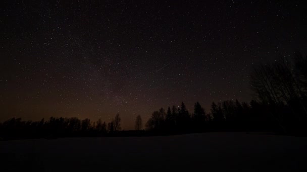 Vista Del Campo Cubierto Nieve Blanca Con Bosque Fondo Noche — Vídeos de Stock