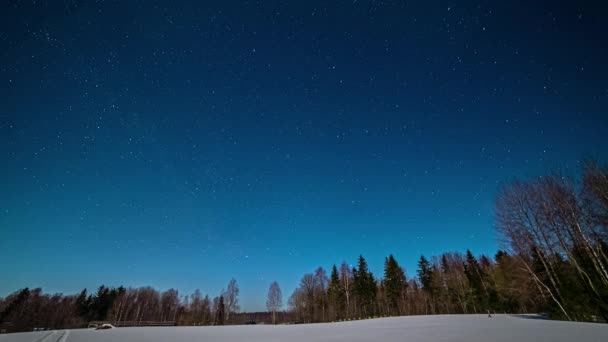白雪覆盖的田野 背景中的森林 夜以继日 在寒冷的夜晚 蓝天上的星星 — 图库视频影像
