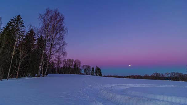 Verschneiter Eisiger Winter Wald Weitschuss — Stockvideo