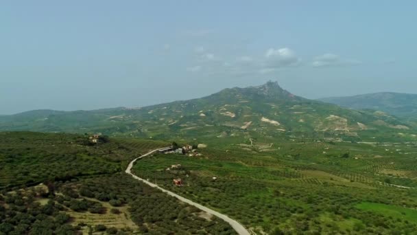 Vaste Vergers Oranges Olives Dans Les Terres Agricoles Sicile Avec — Video