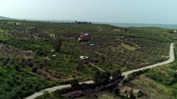 Hillside Orchard Olives Orange Sicilia Italia Descenso Aéreo Aproximación — Vídeo de stock