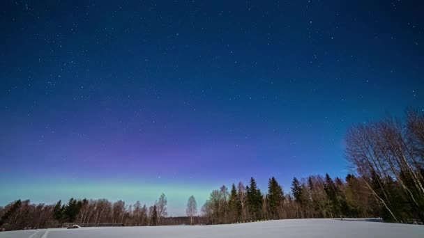 Lage Hoek Opname Van Kleurrijke Noorderlicht Aurora Borealis Weergegeven Timelapse — Stockvideo