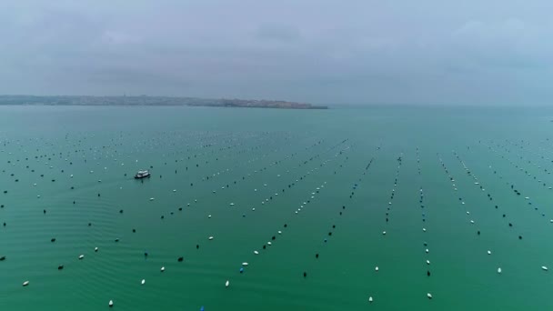 Barco Ferry Navegando Través Boyas Flotantes Mar Siracusa Italia Aéreos — Vídeo de stock