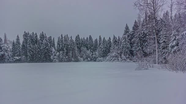 灰色の夕日の間の森林風景の中に雪と雨と嵐の灰色の冬の日のタイムラプスショット 荒野のアパートからのウィンドウビュー — ストック動画