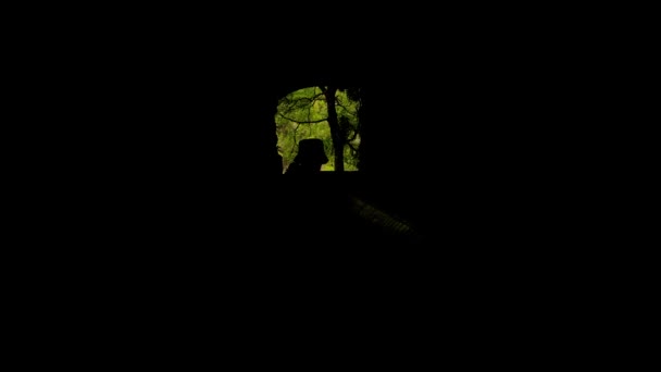 トンネルの端の出口光に向かって歩く暗いトンネルのシルエットの人々 — ストック動画