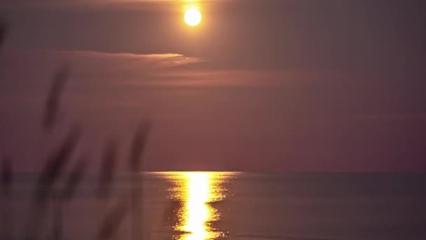 Спокійний Захід Сонця Пляжі Спокійним Видом Обрій — стокове відео