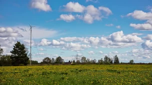 Vackra Landskap Med Växande Taraxacum Officinale Eller Gula Maskrosor Blå — Stockvideo