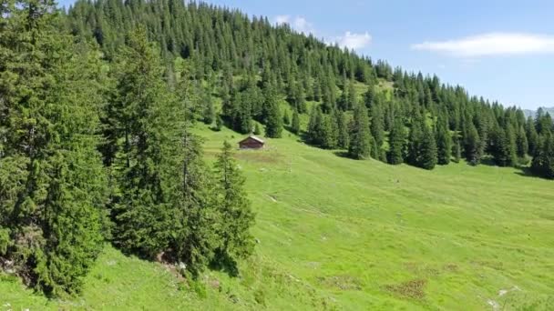Alpes Austríacos Durante Verão Wiht Bela Vista — Vídeo de Stock