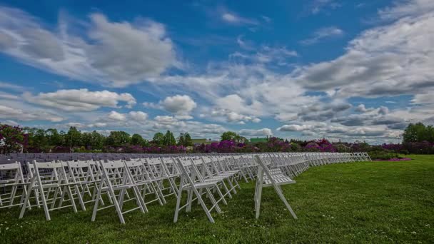 緑の芝生の上に白い木製の折りたたみ椅子の列の静的なショットは 時間の経過とともに白い雲が流れる花の庭に囲まれています — ストック動画