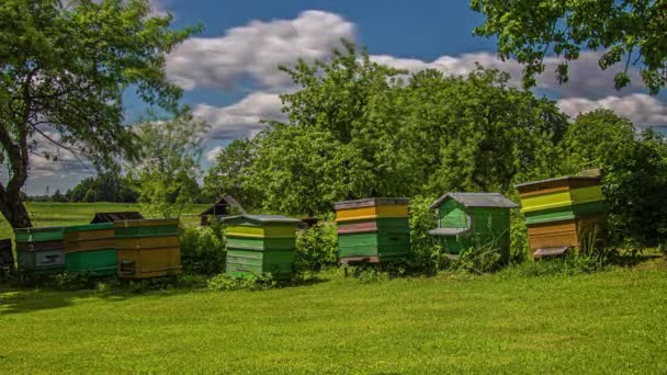 Временной Интервал Заброшенных Старых Пчелиных Домов Загрязнения Окружающей Среды — стоковое видео
