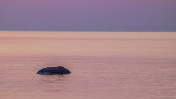 Roze Oceaan Water Uit Reflectie Van Hemel Met Zachte Golven — Stockvideo