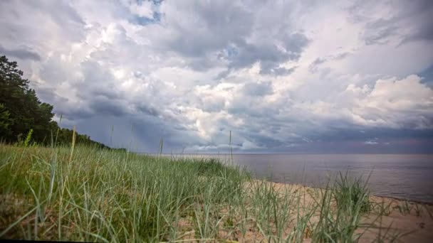 Grünes Gras Der Sandküste Unter Dramatischem Himmel Mit Schöner Wolkenlandschaft — Stockvideo