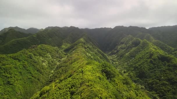 Vista Aérea Una Cresta Montaña Hawai — Vídeo de stock