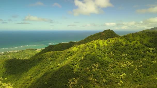 Havsutsikt Flyger Över Oahu — Stockvideo