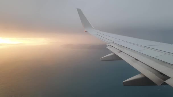 飛行機の窓から見た美しい夕日飛行機の翼 ニュージーランドの海 Aotearoa — ストック動画
