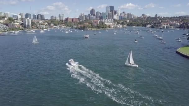 美しい冬の日にシドニー港でのボート交通 — ストック動画