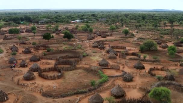 埃塞俄比亚Omo山谷Hamar部落村典型的围栏和撒切尔屋顶房屋 空中俯冲射中 — 图库视频影像