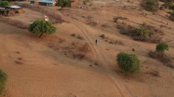Persona Indígena Solitaria Camina Hacia Aldea Tribu Karo Valle Omo — Vídeo de stock