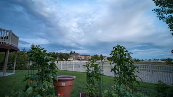 夕暮れ時の裏庭の庭には ダイナミックな雲の景色が頭上にあります — ストック動画