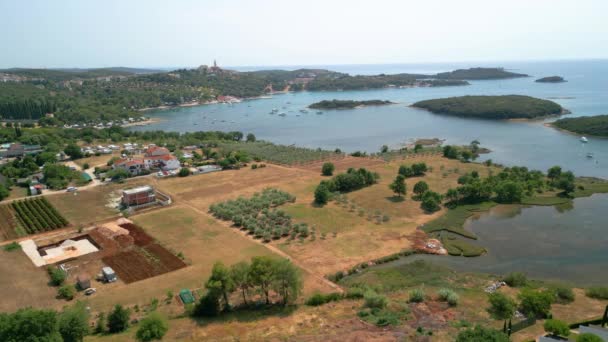 Flygfoto Över Kroatiens Kustlinje Med Plöjd Jordbruksmark Och Vildmark Oförorenat — Stockvideo