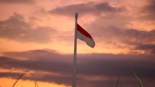 Bandera Indonesia Ondeando Poste Alto Contra Dramático Cielo Nocturno — Vídeos de Stock