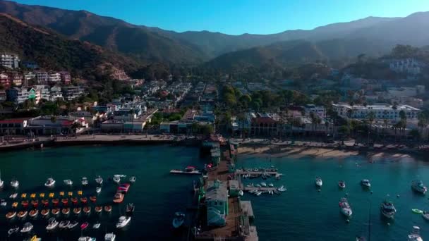 Zburând Departe Orașul Avalon Insula Catalina Peste Dig — Videoclip de stoc