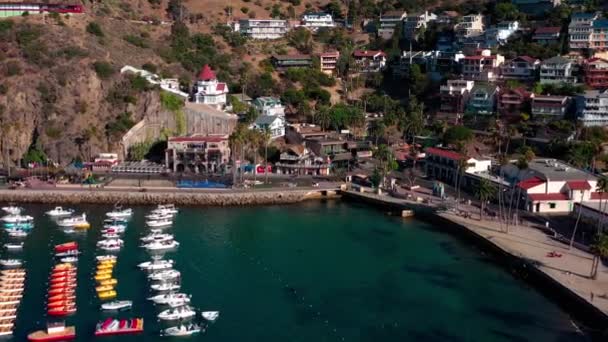 カタリナ島のアバロンのいくつかの家に向かって飛んで空中ビュー — ストック動画