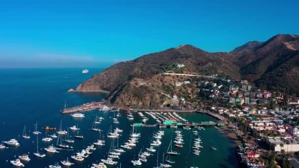 Drone Foarte Mari Zburând Deasupra Portului Avalon Insula Catalina Vedere — Videoclip de stoc