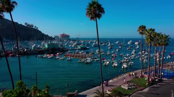 Catalina Adası Ndaki Avalon Limanının Yükselen Insansız Hava Aracı Görüntüleri — Stok video