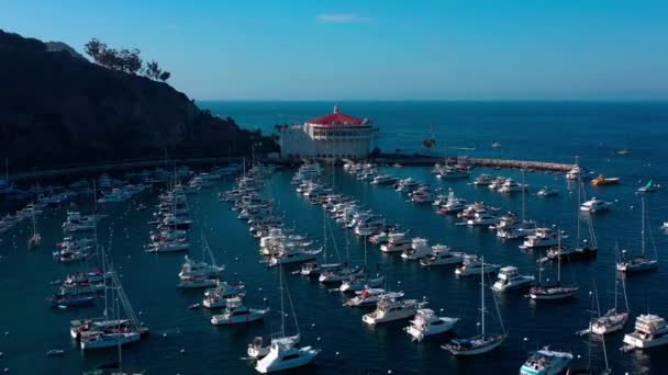 Voando Sobre Barcos Vela Ilha Catalina Direção Casio — Vídeo de Stock