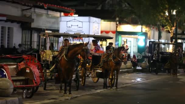 2022年8月18日 印度尼西亚日惹 一辆马拉奥博罗街的马车和司机在夜间等候乘客 — 图库视频影像