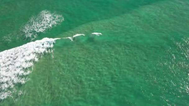 オーストラリアのクイーンズランド州のノース ストラドブルック島のビーチに向かって 自然のままの透明な水と垂直方向のパンニングを見下ろす — ストック動画