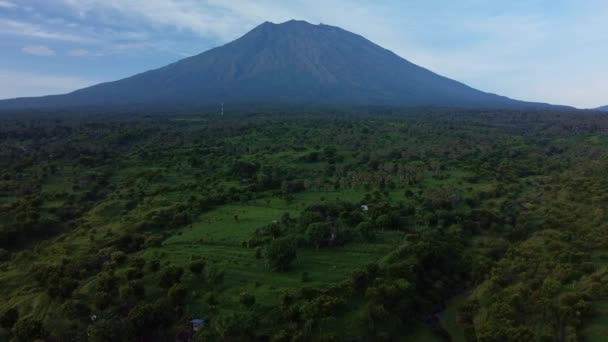 Mount Agung Vulcano Med Grønn Natur Luftstøtte Framover – stockvideo