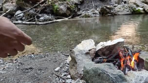 Chico Poner Salchicha Palo Madera Cocinar Sobre Hoguera — Vídeo de stock