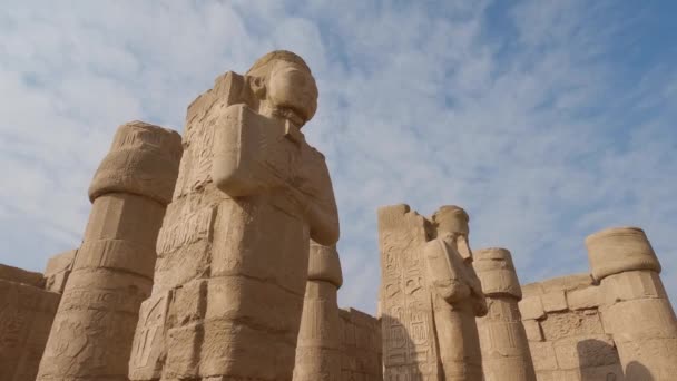 在埃及卡诺克神殿的砂岩柱上俯瞰雕刻的雕像 全倒了 — 图库视频影像