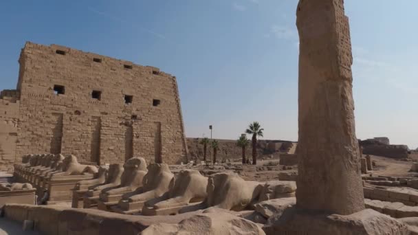 Řada Soch Sfingy Chrámovém Komplexu Karnak Luxoru Egypt — Stock video