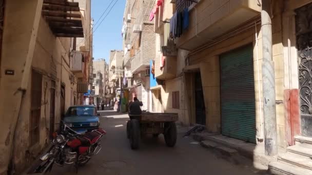 Paard Getrokken Winkelwagentje Gaat Side Street Luxor Voorbij Afgesloten Bedrijven — Stockvideo