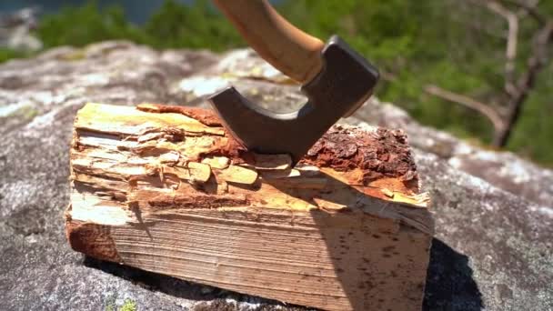 Blade Small Hiking Axe Inserted Firewood Log Slowly Rotating Right — Stock Video