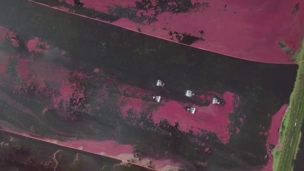 Колекційні Машини Збирають Врожай Затоплених Полів Штат Вісконсин Сша Збільшення — стокове відео