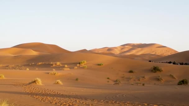 Merzouga Daki Sahra Nın Yüksek Kum Tepeleri Erg Chebbi Fas — Stok video