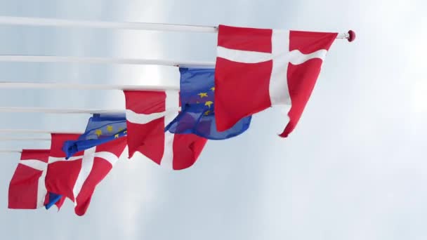 Danmarks Och Europeiska Unionens Flaggor Hissade Blåsig Och Mulen Dag — Stockvideo