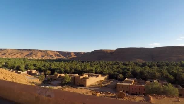 Hermoso Oasis Verde Medio Del Valle Cordillera Atlas — Vídeo de stock