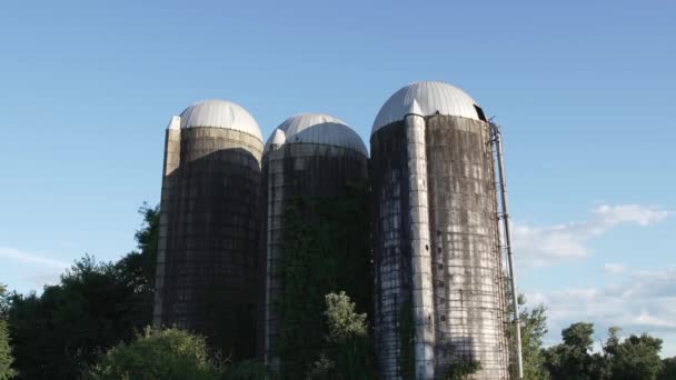 Trei Silozuri Abandonate Plante Suprasolicitate Fundal Albastru Vară Medford New — Videoclip de stoc