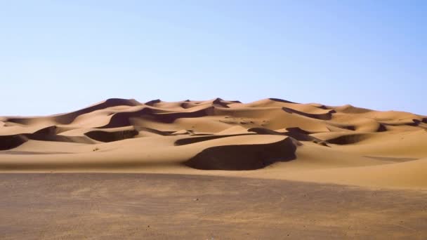 Dunas Areia Alta Saara Merzouga Erg Chebbi Marrocos — Vídeo de Stock