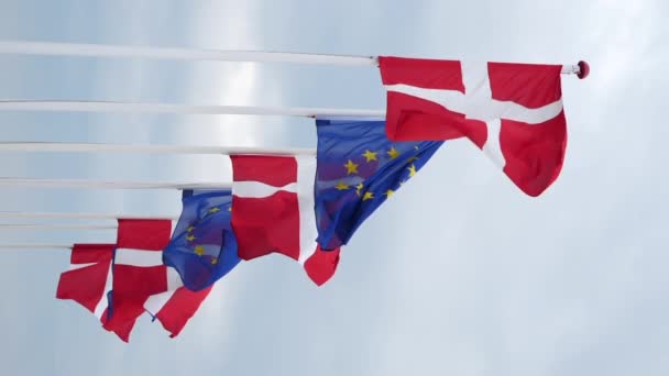 Pionowe Ujęcie Flag Duńskich Unii Europejskiej Masztach Flagowych Pływających Wiatrem — Wideo stockowe