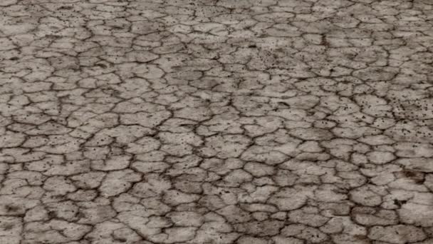 Сухое Дно Маленькой Реки Воды Потрескавшейся Местностью Сильной Засухой Нехваткой — стоковое видео