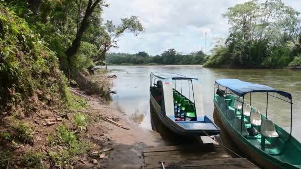 코스타리카 카를로스 국경에 카를로스 국경에 관광객 아메리카의 강둑에 — 비디오