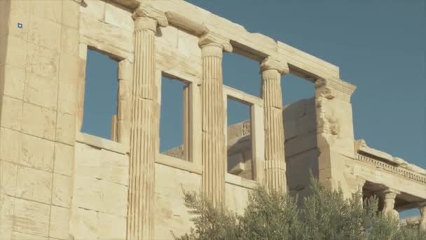 Janelas Pilares Erechtheion Medium Shot — Vídeo de Stock