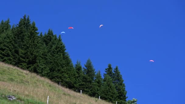 Cuatro Paracaídas Vuelan Cielo Sobre Abeto Prado Hierba Obwald Engelberg — Vídeo de stock
