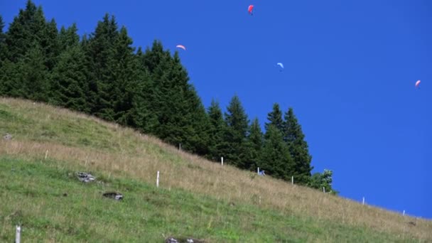オバールデンのモミの木や草の牧草地の上を飛ぶ4つのカラフルなパラシュート 広い昼間の青い空 — ストック動画